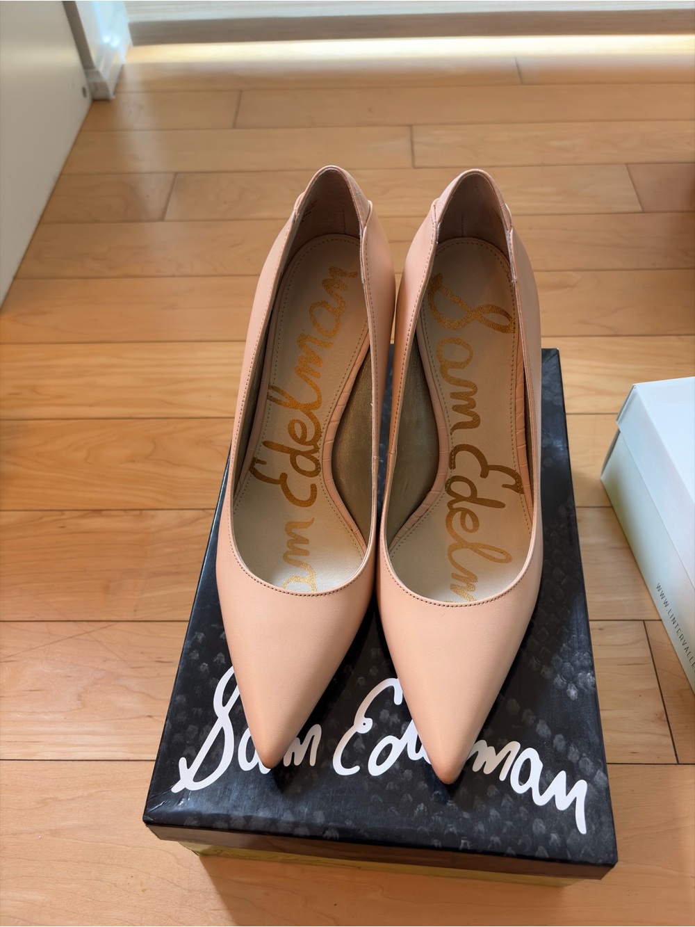 Sam Edelman Women's Pointed Toe Pumps in Blush